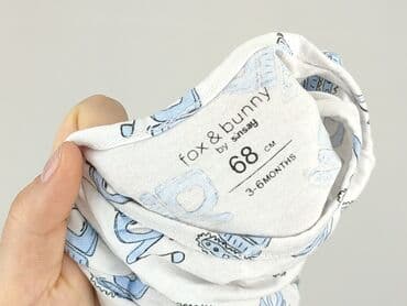 guess sukienki letnie: Body, Fox&Bunny, 3-6 months, 
condition - Perfect — 4