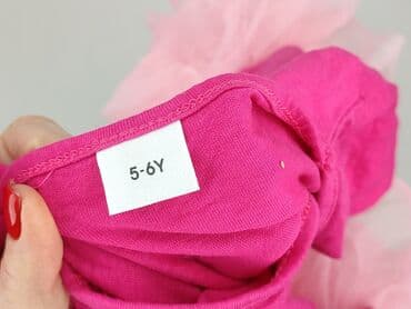 esmara rajstopy: Сукня, H&M, 5-6 р., 110-116 см, стан - Ідеальний — 4