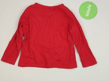 koszulka z dynia dla dziecka: Blouse, Sinsay, 3-4 years, 98-104 cm, condition - Perfect — 3