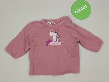 panczo.com koszulki: Sweatshirt, Ergee, 6-9 months, condition - Very good — 2