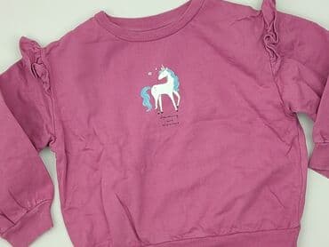 lidl podkoszulki dziewczęce: Sweatshirt, Little kids, 4-5 years, 104-110 cm, condition - Very good — 1