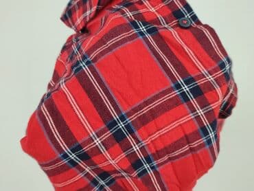 koszulka z długim rękawem w paski: In Extenso, Koszulа dla mężczyzn, rozmiar 2XL — 6