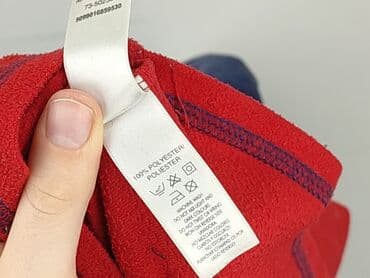 skarpety dexshell: Sweatshirt, St. Bernard, 10 years, 134-140 cm, condition - Very good — 5