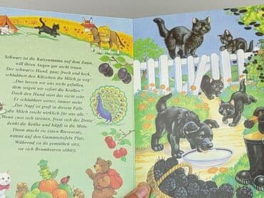Books, Audio & Video formats: Book, genre - Kids & young adults, condition - Very good — 3