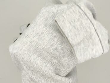 kurtka zimowa converse: Puma, Bluza z kapturem dla mężczyzn, M — 6