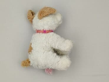 slask wroclaw koszulki: Mascot Dog, condition - Perfect — 2