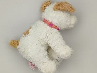 slask wroclaw koszulki: Mascot Dog, condition - Perfect — 1