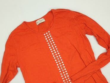 monty python koszulka: French Connection, Bluzka damska, S — 1