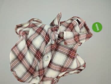 bluzy jack daniels: Next, Koszula damska, rozmiar 4XL — 5