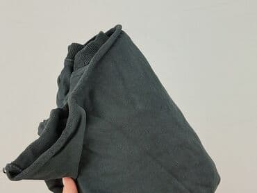 zara zielona bluza: Zara, Bluza damska
, rozmiar M — 6