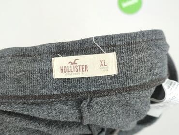 bluza z mopsem: Hollister, Spodnie dresowe damskie, rozmiar XL — 4