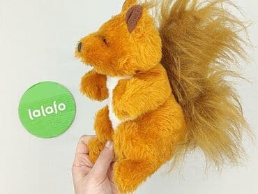 kapcie w ccc: Mascot condition - Perfect — 5
