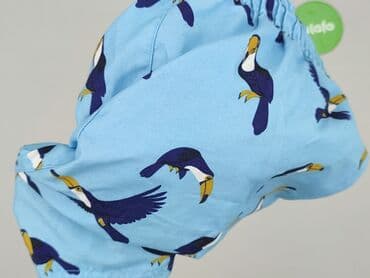 koszulka z kolibrem: Szorty kąpielowe dla mężczyzn, M — 4