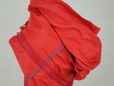 kurtka parka c a: Kurtka przejściowa damska, L — 6