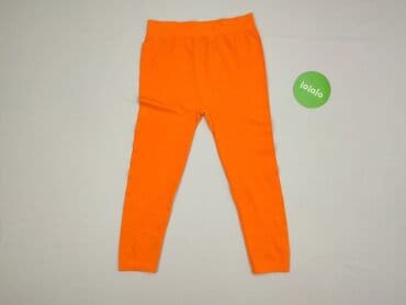 legginsy woskowane wysoki stan: Leggings Shorts for women, size S (EU 36) — 2