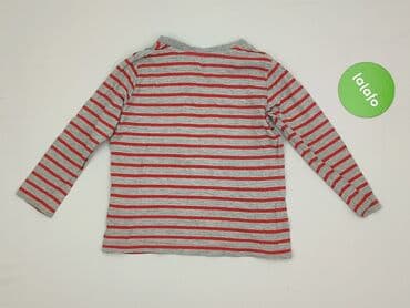 koszulka z dynia dla dziecka: Sweatshirt, Lupilu, 3-4 years, 98-104 cm, condition - Very good — 3