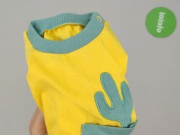 lidl koszulka: Komplet niemowlęcy, 6-9 miesięcy, stan - Idealny — 6