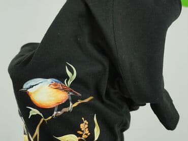 rock eagle t shirty: T-shirt damski, rozmiar L — 5