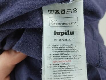 koszulka koty: Blouse, Lupilu, 5-6 years, 110-116 cm, condition - Good — 5