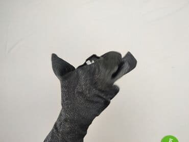 t shirty victoria: VICCI, T-shirt damski, rozmiar L — 5