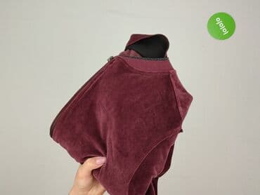 body bluza zara: Zara, Bluza damska
, rozmiar M — 6