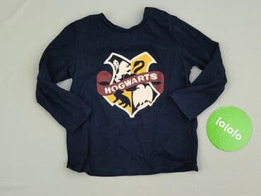 allegro podkoszulki: Sweatshirt, Harry Potter, 2-3 years, 92-98 cm, condition - Perfect — 2