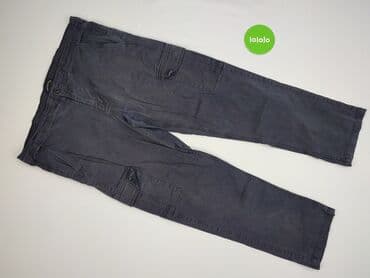 vans kurtka zimowa: Red Herring, Spodnie dla mężczyzn, XL — 2