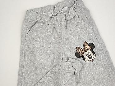 szare dresy: Minnie, Spodnie dresowe damskie, rozmiar M — 1