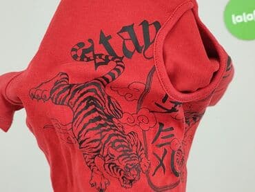 bluzki czarne basic: Terranova, T-shirt damski, rozmiar S — 6