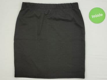 spódniczka plus size: Spódnica damska, L — 2