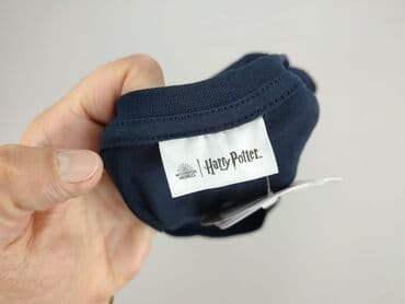 h: Harry Potter, Футболка жіноча, розмір L — 5