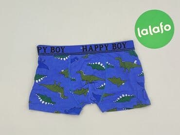 sukienka dla 6 latki: Panties, 2-3 years, condition - Very good — 2