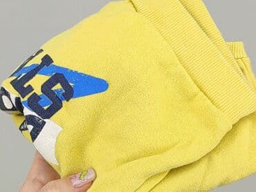lidl kombinezon softshell: Sweatshirt, Pepco, 1.5-2 years, 86-92 cm, condition - Good — 5