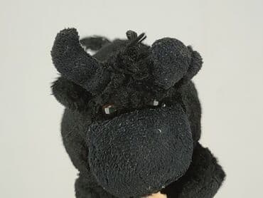 koszulka z labradorem: Toys for infants — 1