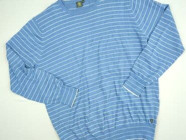 koszulki wisla plock: Sweter, 2XL (EU 44), Aigle, condition - Perfect — 1