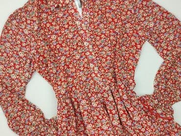 Women: Warehouse, Women`s dress, size L (EU 40) — 1