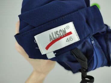 plisowane spódnice dla puszystych: Spódnica damska, rozmiar 3XL — 4