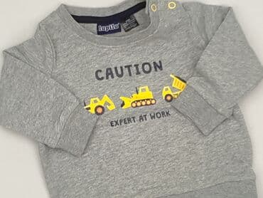 lindex bluza: Sweatshirt, Lupilu, 3-6 months, condition - Very good — 1