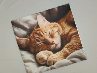 Pillowcase, 46 x 44, kolor - Kolorowy, stan - Idealny