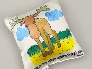 Poduszki: Poduszka 20 x 20, kolor - Biały, stan - Idealny