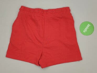 coccodrillo krótkie spodenki: Janina, Szorty damskie, rozmiar S — 3