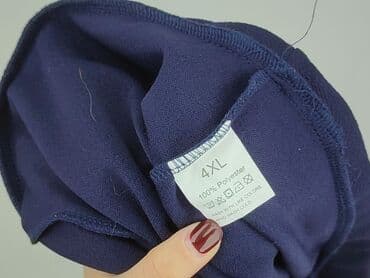 plisowane spódnice szara: Spódnica damska, rozmiar 4XL — 4