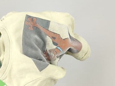 sweterek sukienka allegro: Sweatshirt, Disney, 1.5-2 years, 86-92 cm, condition - Very good — 5