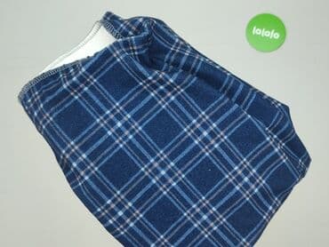 niebieska spódnice plisowane: Spódnica damska, XL — 5