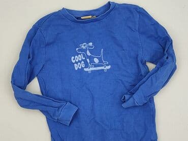 sweterek sukienka allegro: Sweatshirt, 7 years, 116-122 cm, condition - Very good — 1