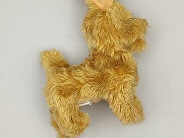Mascot Dog, condition - Very good
