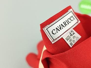 plisowane spódnice: Cavaricci, Spódnica damska, rozmiar XL — 4