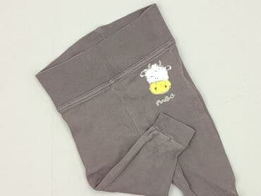krótkie spodenki niemowlęce 74: Sweatpants, Lupilu, 3-6 months, condition - Perfect — 1