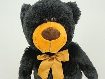 Mascot Teddy bear, condition - Perfect