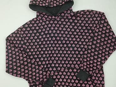 bluza z dzikiem: Bluza z kapturem dla mężczyzn, rozmiar L — 1